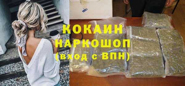Альфа ПВП Аркадак
