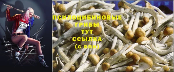 дмт Сатка