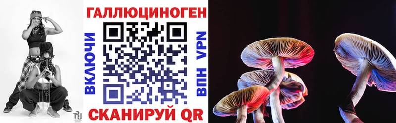 кракен вход  Сретенск  Псилоцибиновые грибы Cubensis  наркошоп 