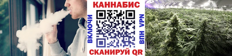 ссылка на мегу   Сретенск  Бошки Шишки план 