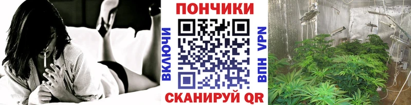 Конопля гибрид Сретенск
